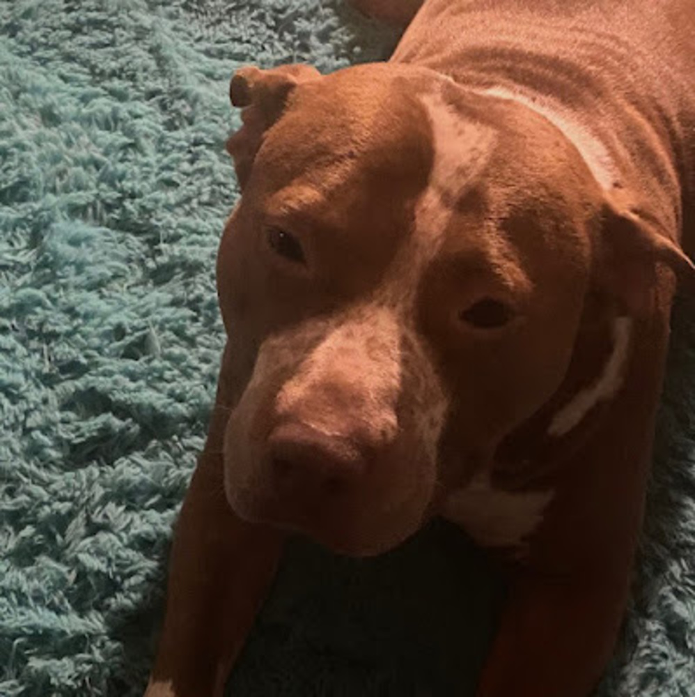 Meet your Posher, Walter